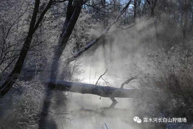 “天空的节日”与小城之兴