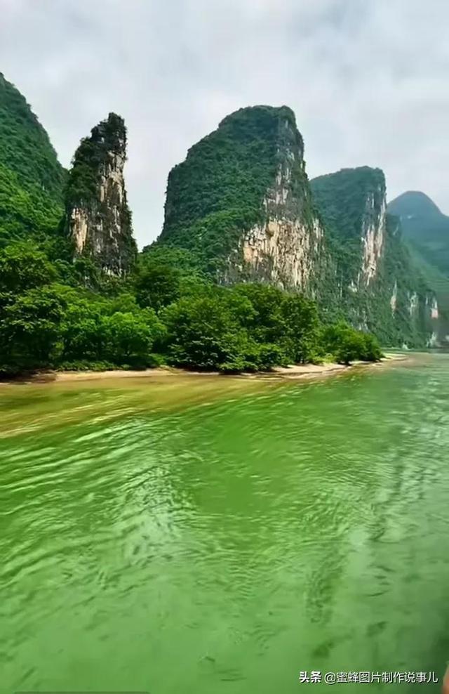 民警深夜上山为群众找牛